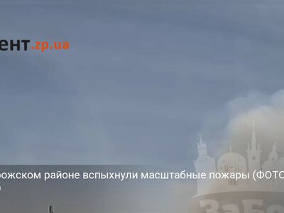 В Запорожском районе вспыхнули масштабные пожары (ФОТО, ВИДЕО)