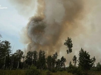 Крупнейшие лесные пожары сейчас в Черниговской и Харьковской областях, за два дня потушили еще 24 - Леса Украины