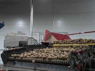 Прогноз балансов лука репчатого и картофеля в Казахстане 30.06.2026