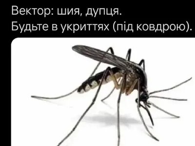 Одесский юмор: пока вы ищете тень, комары ищут вас