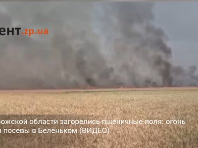 В Запорожской области загорелись пшеничные поля: огонь охватил посевы в Беленьком (ВИДЕО)