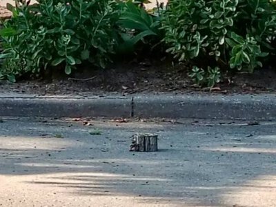 В центре российского Рыльска на мине взорвалась машина с чиновниками: среди раненых – глава района