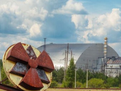 В Чернобыле расцвел уникальный цветок (фото) (Видео)