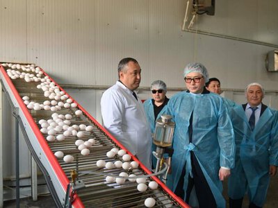 Арман Шаккалиев: В Шымкенте из цепочки поставок исключены 47 непродуктивных посредников