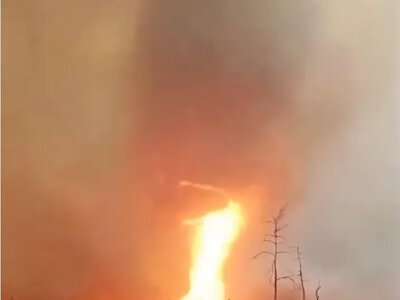 В Чернобыльской зоне заметили огненный смерч