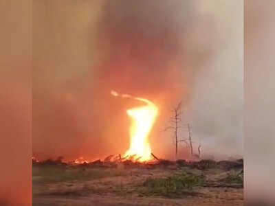 Стихия ежеминутно меняет направление: в Чернобыльской зоне зафиксировали огненный смерч (видео)