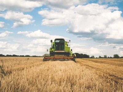 Ridne Group покупает агропредприятие «Астарты» в Черниговской области 