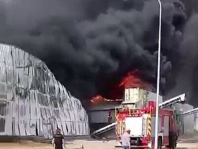 Крупнейшая в Европе птицефабрика уничтожена в Херсонской области (видео)