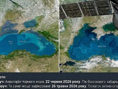 Тропические вихри из космоса: спутник NASA показал, как Черное море изменило цвет