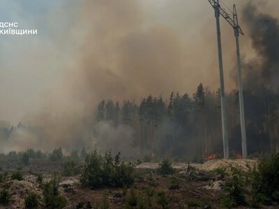 В Чернобыльской зоне потушили пожар на 130 га, еще есть три очага