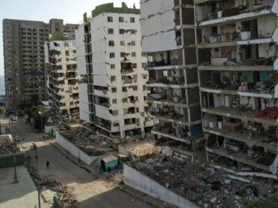  Поисковая собака спасла 26 человек после землетрясения в Венесуэле 