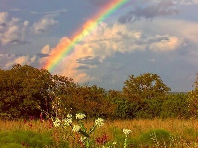 Сегодня приступайте к делам как можно раньше: приметы дня