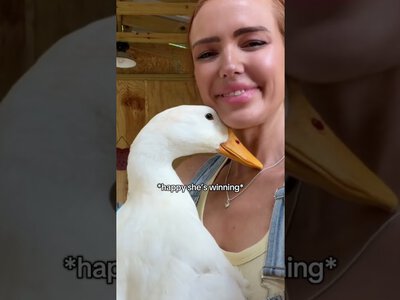 Качка у режимі діви: пташка стала зіркою мережі через свої зіркові примхи