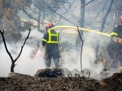  Во Франции из-за крупного лесного пожара эвакуируют около 10 тысяч человек 