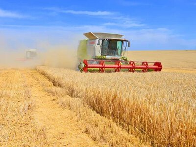 Акции украинских агрохолдингов растут: какие компании дорожают на биржах Европы