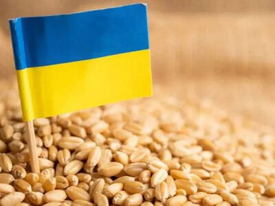 Украина экспортировала почти 14 млн тонн пшеницы в 2025/2026 МГ