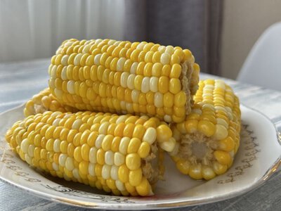 Сезон молодой кукурузы: как получить максимум пользы