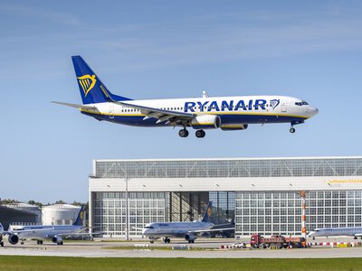 Меня съедят заживо: рой комаров сорвал вылет рейса Ryanair