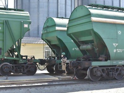  Узбекистан и Афганистан увеличили закупки казахстанского зерна 