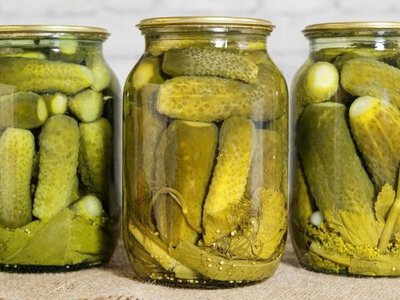 Маринованные огурцы останутся хрустящими до зимы: весь секрет в семенах горчицы