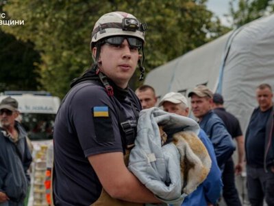 В Вишневом сотрудники ГСЧС спасли обожженного рыжего кота: впоследствии нашли его хозяев