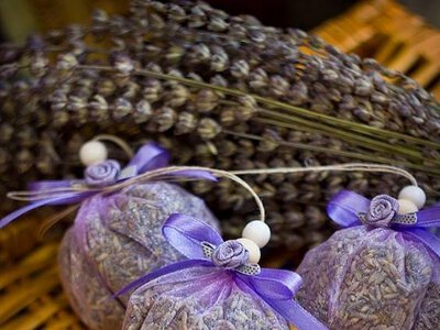 Запахи лечат и успокаивают