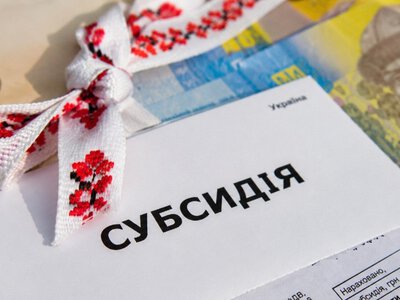 Субсидия на аренду жилья для ВПЛ: почему программа буксует и как предлагают снизить налоги