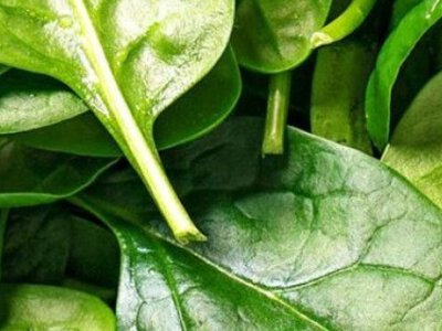 Названы продукты, которые защищают легкие