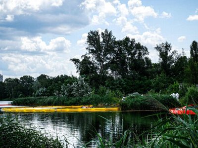 В Киеве продолжается ликвидация загрязнения Кирилловского озера: к разработке программы восстановления экосистемы привлекли ученых