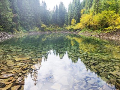 Не только Карпаты: где в Украине вода оказалась самой чистой в 2026 году