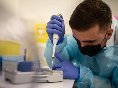 Австралия подтвердила первый случай H5N1 у местной морской птицы