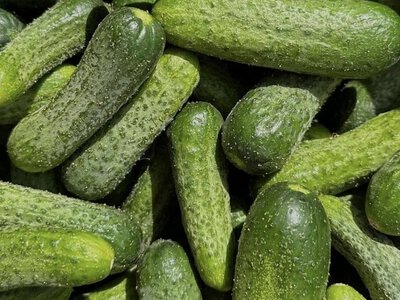 Цены на овощи в Украине — актуальная стоимость на 10 июля
