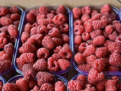 Цены на фрукты в Украине — актуальная стоимость на 10 июля.