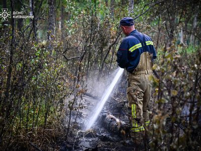 В Чернобыльской зоне отчуждения ликвидировали лесной пожар, длившийся две недели