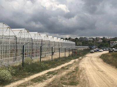 В аннексированном Крыму могла быть приостановлена работа крупнейшего тепличного производства