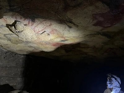 Это только начало: ученые извлекли ДНК доисторических людей из древних рисунков (фото)