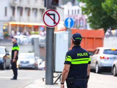 Главу управления МВД Грузии обязали носить электронный браслет по делу о домашнем насилии