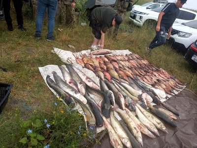 На Бугском лимане задержали браконьера с краснокнижной севрюгой