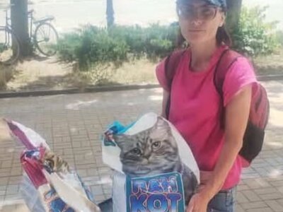  «Ее разорвала УАБ»: в Дружковке погибла зооволонтерка вместе с животными 