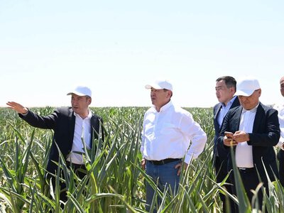 Жалағашта «Harvest agro» компаниясының агроөнеркәсіптік кластер жобасы қарқынды жүзеге асырылуда