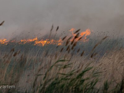  Казахстан накрывает волна пожарной опасности 