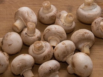 5 продуктов, которые категорически нельзя употреблять в сыром виде