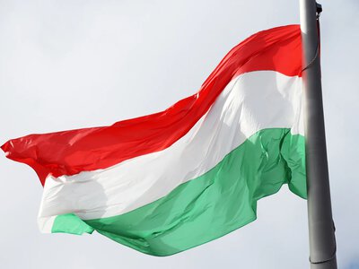 Режим Орбана исчезает на фоне отстранения президента Венгрии - Bloomberg