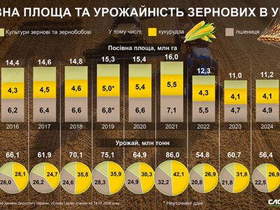  Непростая жатва: посевная площадь и урожай зерновых до и после 2022 года 