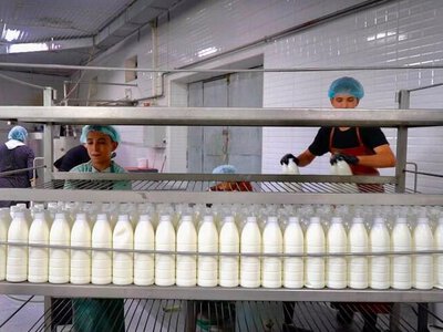 ТҮРКІСТАНДЫҚ КОМПАНИЯ СҮТ ӨНІМДЕРІН ОРТАЛЫҚ АЗИЯ ЕЛДЕРІНЕ ЭКСПОРТТАУДЫ ЖОСПАРЛАП ОТЫР
