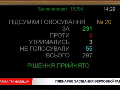 Рада поддержала в первом чтении законопроект о декриминализации порнографии и ужесточении ответственности за детскую порнографию