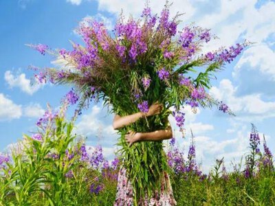 Каждый день выпалывай свои сорняки