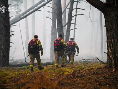 В Чернобыльской зоне отчуждения снова тушат пожар: что горит в этот раз (видео)