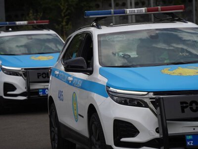  Иностранца арестовали на 15 суток за попытку справить нужду в Ботаническом саду Астаны 