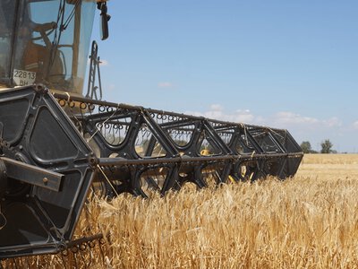 Урожай-2026: какие прогнозы по урожаю и будет ли у Украины хлеб